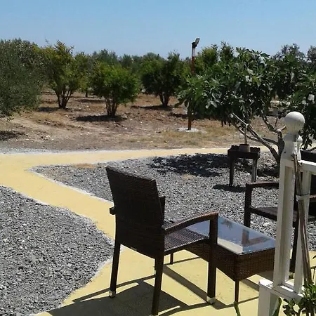 Mersinera Paradise Garden Stars House * לרנקה