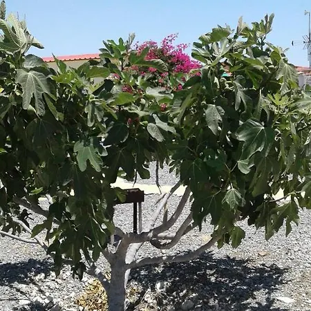 בית נופש Mersinera Paradise Garden Stars House