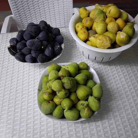 Mersinera Paradise Garden Stars House בית נופש לרנקה