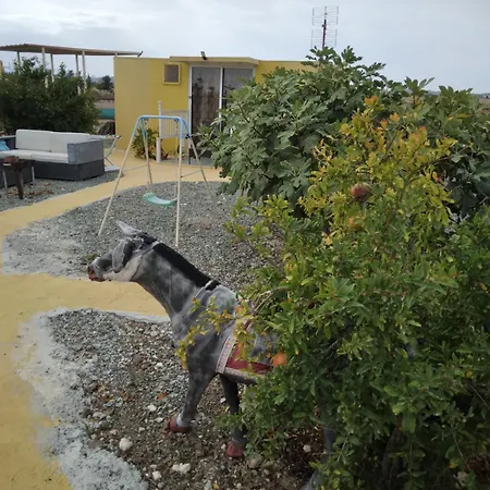 בית נופש Mersinera Paradise Garden Stars House