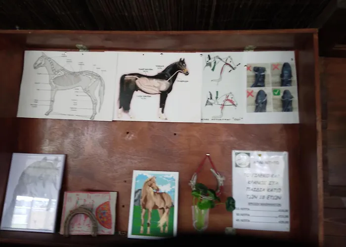 Mersinera Paradise Garden Stars House * לרנקה