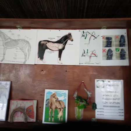 Mersinera Paradise Garden Stars House * Larnaca