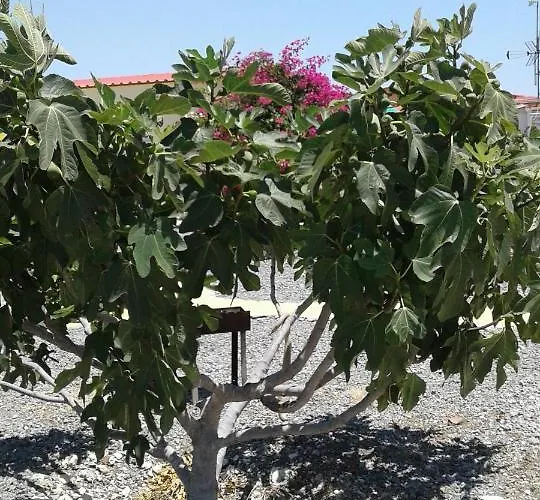 Holiday home Mersinera Paradise Garden Stars House