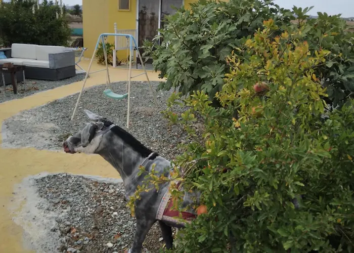 Holiday home Mersinera Paradise Garden Stars House